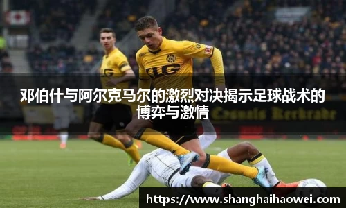 zoty中欧官网